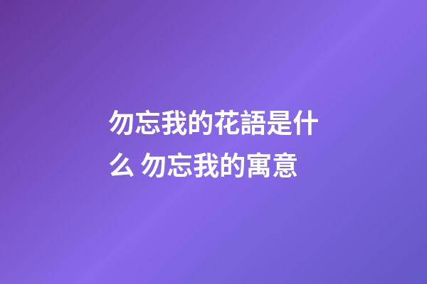 勿忘我的花語是什么 勿忘我的寓意